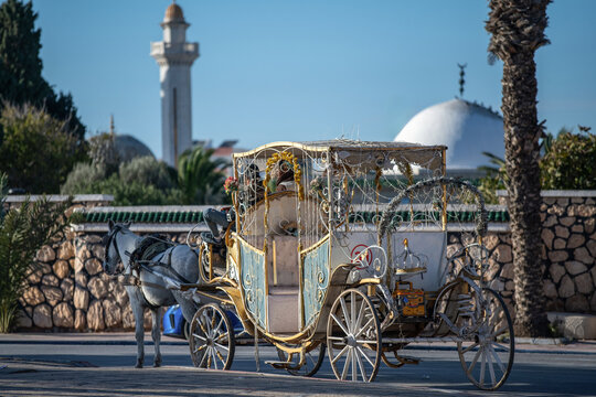 Cal&egrave;che touristique &agrave; Monastir en Tunisie