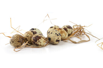 Quail eggs on straw isolated on white background. Natural patterned farm quail eggs in hay.