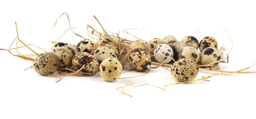 Quail eggs on straw isolated on white background. Natural patterned farm quail eggs in hay.