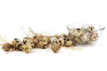 Quail eggs on straw isolated on white background. Natural patterned farm quail eggs in hay.