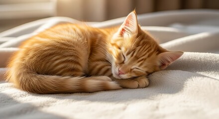 Orange tabby cat sleeping peacefully on a soft blanket.