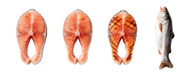 Four salmon fillets and one whole salmon, displayed in a row . Fillets show varying textures and grill marks. Whole salmon is on the right, showing its scales and tail.