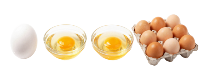 Photograph of white egg, two glass bowls with egg yolks, and brown eggs in a paper carton on.
