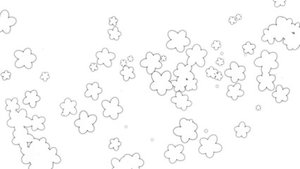 flowers on white background