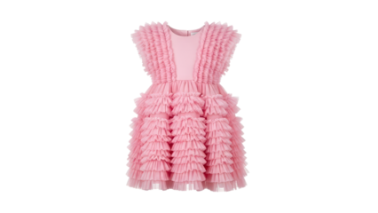 A delicate pink dress with layered ruffles, a symbol of elegance and feminine charm. The dress exudes a sense of grace and sophistication, perfect for special occasions.