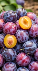 Fresh Plums - A Delicious and Nutritious Fruit Harvest.
