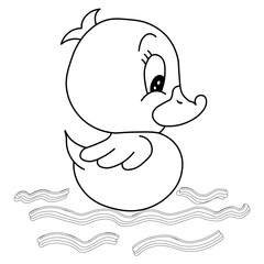 Fototapeta premium Cute swimming duck coloring pages for kids and adults