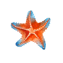 Watercolor Sea Star Illustration: Vibrant Orange and Blue Starfish for Marine Decor, Summer Prints, and Beach Themed Design.