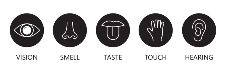 icon set of five human senses. vision eye, smell nose, hearing ear, touch hand, taste mouth with tongue sign. medical reference symbol. five types of human sense logo. flat style.