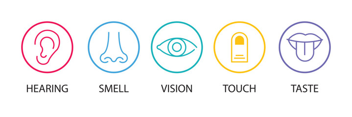 Human senses icon set. Vision eye, smell nose, hearing ear, touch hand, taste mouth with tongue. set of human five senses icon. Vector illustration. EPS 10