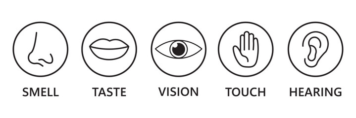 Human senses icon set. Vision eye, smell nose, hearing ear, touch hand, taste mouth with tongue. Simple line icons and black circle. Five senses of human nervous system. Vector illustration.