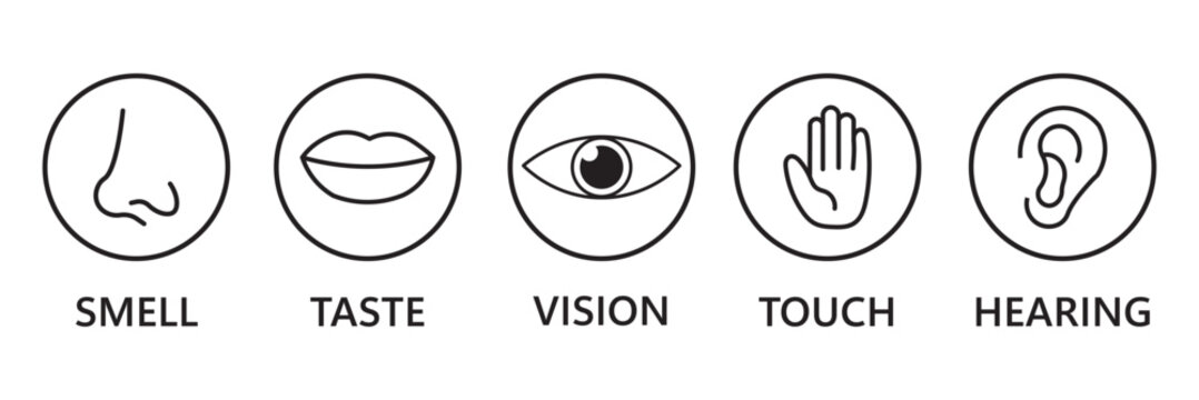 Human senses icon set. Vision eye, smell nose, hearing ear, touch hand, taste mouth with tongue. Simple line icons and black circle. Five senses of human nervous system. Vector illustration.