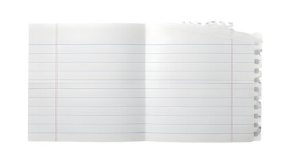 Blank Lined Notebook Paper Open with Spiral Edge Isolated on White