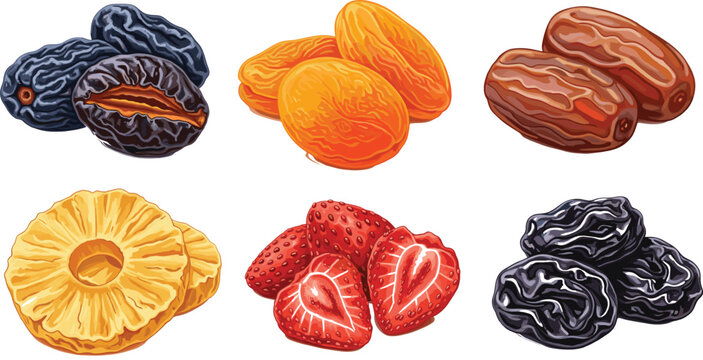 Large vector set of organic dried fruits including dates apricots strawberries pineapple and prunes isolated on white background for healthy snack design.