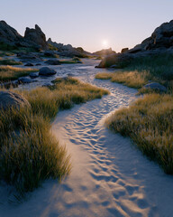 Serene Waterside Scene at Dusk: Gentle sunlight cascades over a sandy water's edge, creating a sense of tranquility and natural beauty.