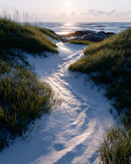 Coastal Trail at Sunrise: A sunlit sandy trail meanders through a lush, dune landscape towards the sparkling horizon.