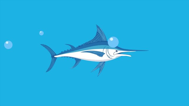 Animated video of goal marlin fish in the sea. Sea animals concept. Full length animation illustration. High quality&nbsp;4k&nbsp;footage