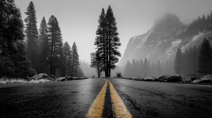 A road leads into a foggy forest, mountains in the distance