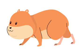 Cartoon hamster. Fluffy domestic pet, funny rodent. Happy home rodent animal. Vector illustration isolated on white background