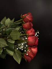 bouquet of wine red roses with baby's breath isolated