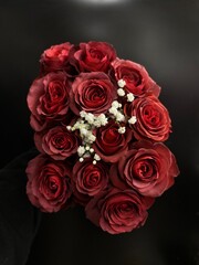 bouquet of wine red roses with baby's breath isolated