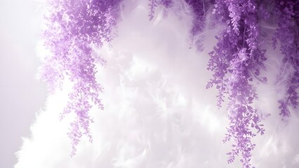 A close up view of delicate purple wisteria flowers hanging down against a soft white background