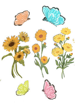 Flower Vektor Collaction Set Elements