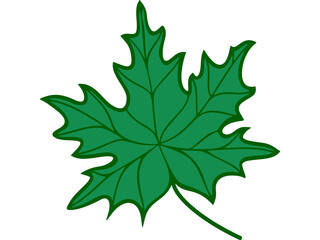 Plant Leaf Vectors