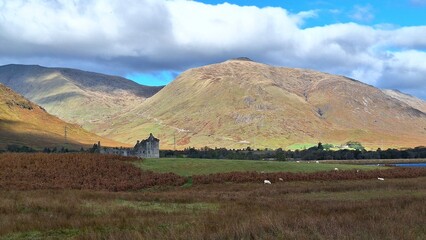 Kilchurn Castle stands in quiet ruins beside Loch Awe, surrounded by vast Highland meadows and rolling mountains. Grazing sheep and open grassland add a sense of scale and calm to the scene.
