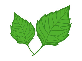 Green leaves Vectors