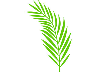 Green plant leaves Vectors