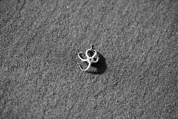 Little starfisch at a normandy beach. Starfisches at the normandy town of Dunkirk. Deatils of sand and animal.