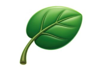 Single green leaf isolated on transparent background