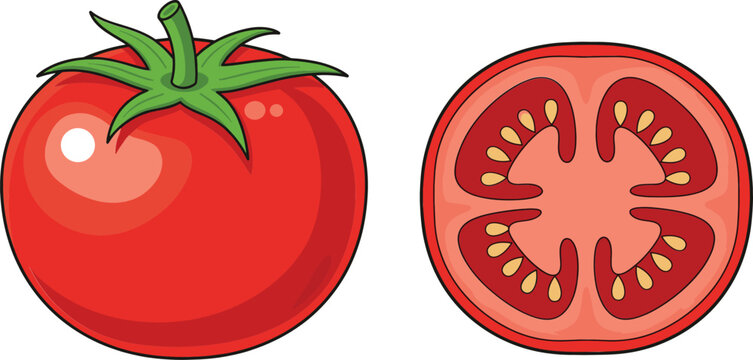 Fresh tomato vegetable illustration with whole and sliced red tomato isolated on white background flat vector design - Powered by Adobe