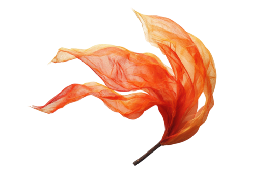 Overhead view of windy icon displayed on plain white backdrop isolated on transparent background - Powered by Adobe