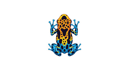 Vibrant poison dart frog with unique blue, yellow, and black patterns shown from a top-down view on a plain white background.