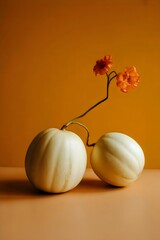Two white pumpkins with orange flowers on a warm background
