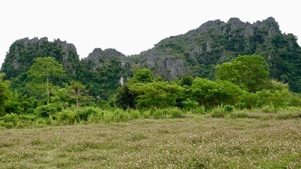 Laos - Karststeingebirge in Vang Vieng