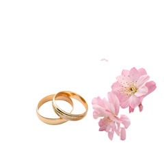 Rings & Blooms on transparent background