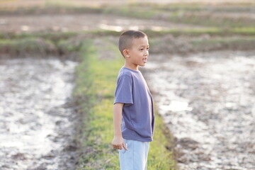 Young Boy Standing in Rice Field at Sunset with Reflective Expression Amidst Growing Crops and Muddy Ground in Rural Setting