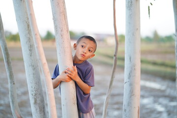 Curious young boy peeking from behind a white tree trunk in a serene outdoor environment showcasing...