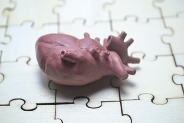 Heart model placed on puzzle surface showcasing anatomical structure and cardiovascular complexity for medical education, healthcare visuals, and anatomy branding content