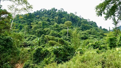 Laos - Karststeingebirge in Vang Vieng