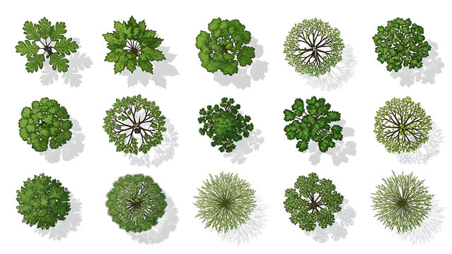 A diverse collection of green trees and bushes depicted from an overhead or top-down perspective.