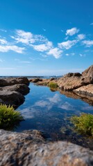 Coral Framed by Natural Rock Pool Under Clear Blue Sky with Reflections