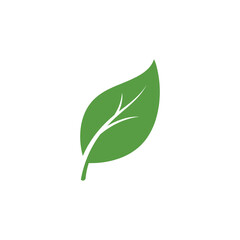 Obraz premium Green leaf icons. Leaves of trees and plants. Leaves icon.Elements design for natural, eco, bio, vegan labels. Vector illustration.
