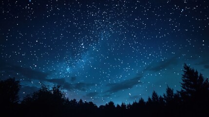Beautiful night sky with countless stars and silhouetted tree tops. Astronomy and nature concept for background or wallpaper. Starry backdrop.