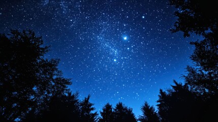 Beautiful night sky with countless stars and silhouetted tree tops. Astronomy and nature concept for background or wallpaper. Starry backdrop.