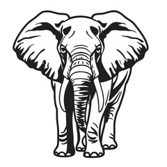 Fototapeta premium A striking black silhouette of an elephant a powerful wildlife icon