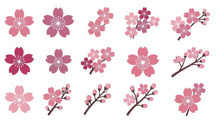 multiple flower and branch variations